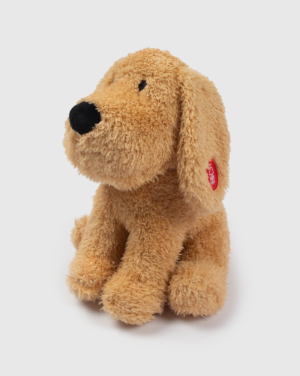 NFFC Fluffy The Dog